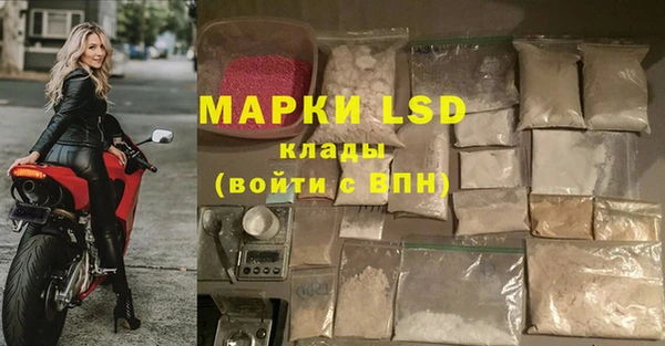 spice Дмитров